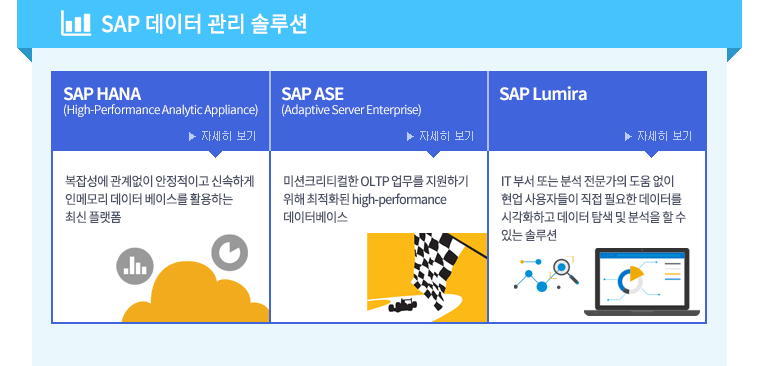 SAP 데이터 관리 솔루션 