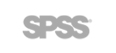 SPSS Inc.