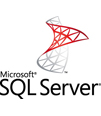 SQL Server Developer (싱글) OLP