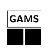GAMS/MPSGE