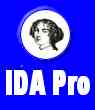 IDA Pro Computer License