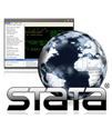 Stata / IC (연간라이선스)