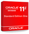 Oracle Standard ONE FOR SYMC DLP 11.0