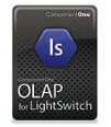 OLAP for LightSwitch with Platinum