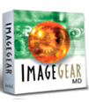 ImageGear Transport MD - Server License