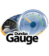 Dundas Gauge for Reporting Service