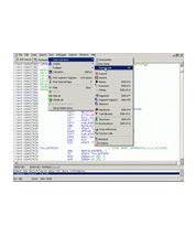 Hex-Rays PowerPC Decompiler