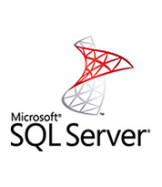 SQL Server Standard 2016 (영문)