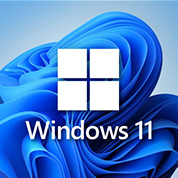 Windows Pro 11 (한글)