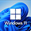 Windows Small Business Server Prem AddOn 2011 (한글) COEM